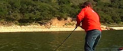 Spring Swimbaits Pt. 1
