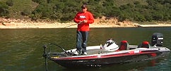 Spring Swimbaits Pt. 2