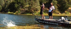 Punchin' w/Paycheck Baits' Bub Tosh & Lintner Part I