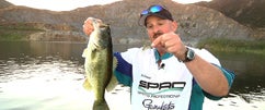 DVL w/Bill Siemantel Part 4: Spro Baby BBZ Double Rig