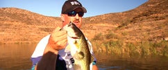 DVL w/Bill Siemantel Part 16 Double Baby BBZ 