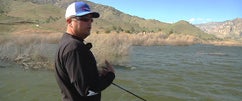 Spring Time Jerkbait Tips With Randy McAbee