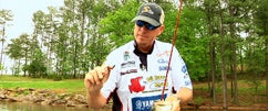 Post-Spawn Tips w/Russ Lane At Lake Lanier Part 1