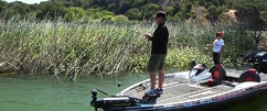 Flipping in Late Summer/Early Fall with Randy McAbee