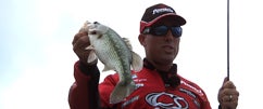 War Eagle Spinnerbaits at Table Rock with Britt Myers