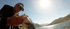 New G. Loomis GLX Crankbait, Flip & Spinning Rods