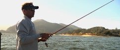 New Shimano Cumara Worm, Jig & Flippin' Rods - 1 of 3
