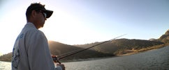 New Shimano Cumara Spinning, Dropshot & Shakey - 3 of 3