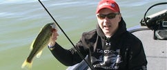 Strike King 3XD & 4s Crankbaits with 