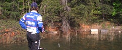 New Spro Bronzeye Shad with Dean Rojas at Lake Lanier