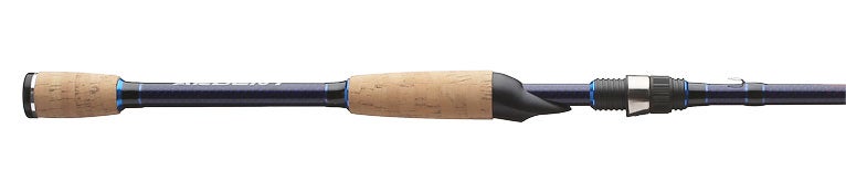 D Brauer Series A