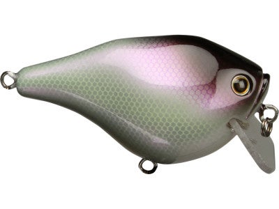 AR Lures Crank 65 Shallow Crankbait