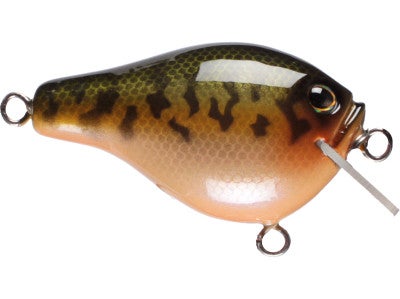 AR Lures Crank 50 Shallow Crankbait