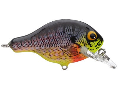 Bagley Small Fry Series
