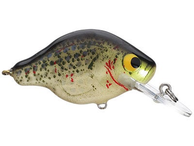 Bagley Small Fry Series
