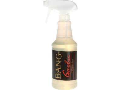BANG Fish Attractant 16oz Trigger Spray