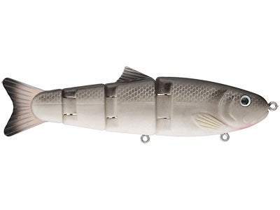 Bikini Bait Company 10