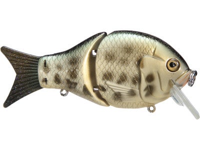 Black Dog Small Shell Cracker G2
