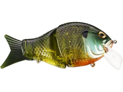 Black Dog Small Shell Cracker G2