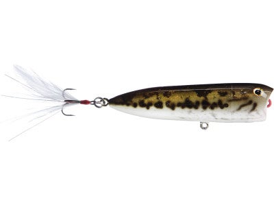 Boing G2 Popper