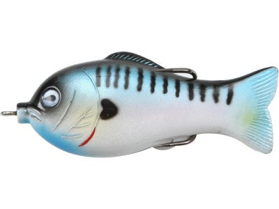 Culprit Ultimate Topwater Shad
