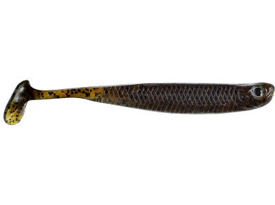 Damiki Anchovy Shad