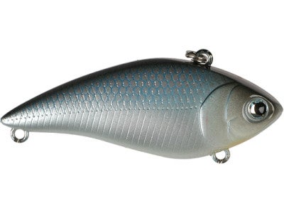 Daiwa Game Vibe
