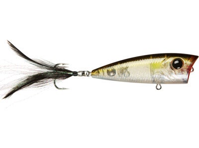 Damiki D Pop 70
