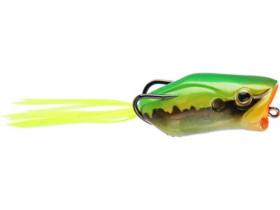 Evergreen Popper Frog