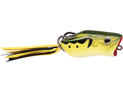 Evergreen Popper Frog