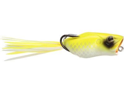 Evergreen Popper Frog