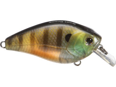 Fish Arrow Best Crank