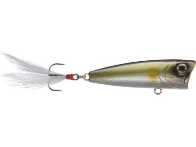 Fish Arrow Best Popper