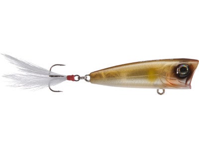 Fish Arrow Best Popper