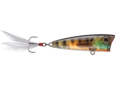 Fish Arrow Best Popper
