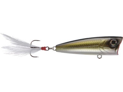 Fish Arrow Best Popper