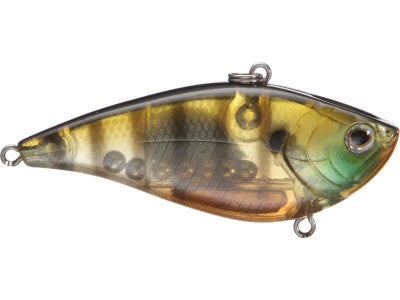 Fish Arrow Best Vibration