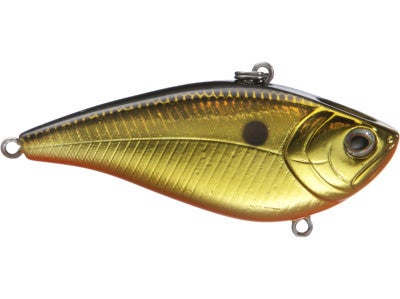 Fish Arrow Best Vibration