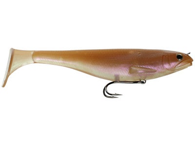 Fish Arrow Vivid Cruise