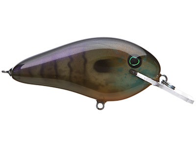 Bass Craft FR 2.5 Flat Runner Crankbait