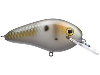 Bass Craft FR 2.5 Flat Runner Crankbait
