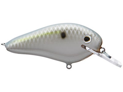 Bass Craft FR 2.5 Flat Runner Crankbait