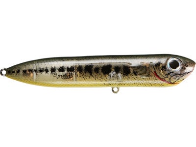 Heddon Chug'n Spook