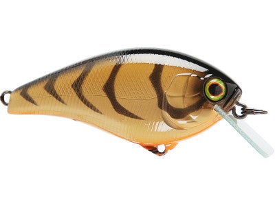 Jackall Aska SR Crankbait