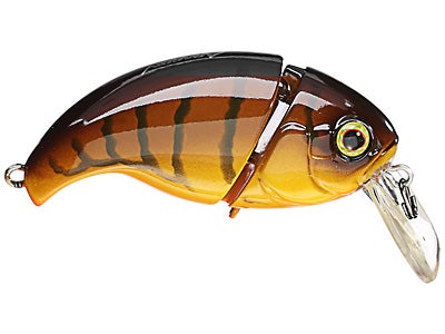 Jackall Aragon SSR Crankbait