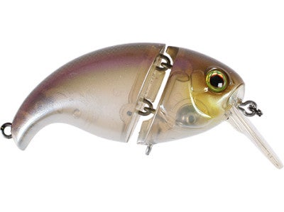 Jackall Aragon SSR Crankbait