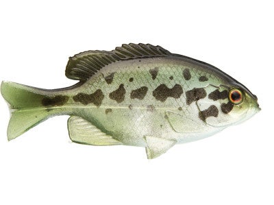 Jackall Clone Gill 2.5