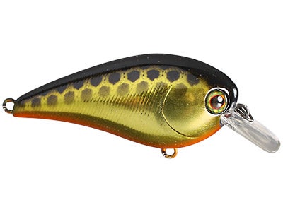 Jackall MC60 Crankbait SR