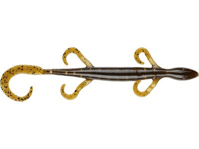 Kicker Fish Hightail Lizard
