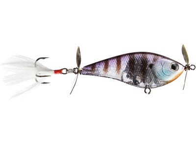 Lucky Craft Kelly J Jr. Prop Bait